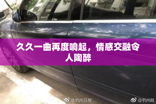 久久一曲再度响起，情感交融令人陶醉