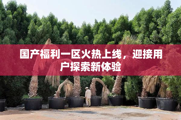 国产福利一区火热上线，迎接用户探索新体验