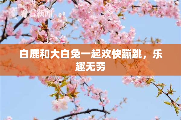 白鹿和大白兔一起欢快蹦跳，乐趣无穷