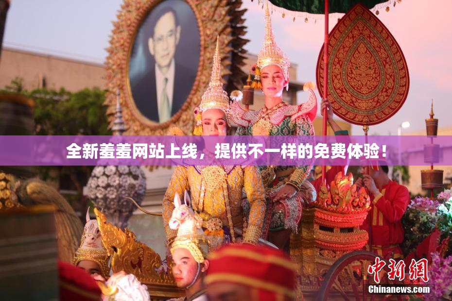 全新羞羞网站上线，提供不一样的免费体验！