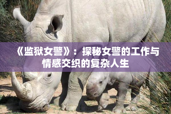 《监狱女警》：探秘女警的工作与情感交织的复杂人生