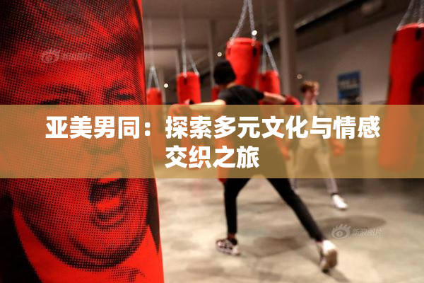 亚美男同：探索多元文化与情感交织之旅