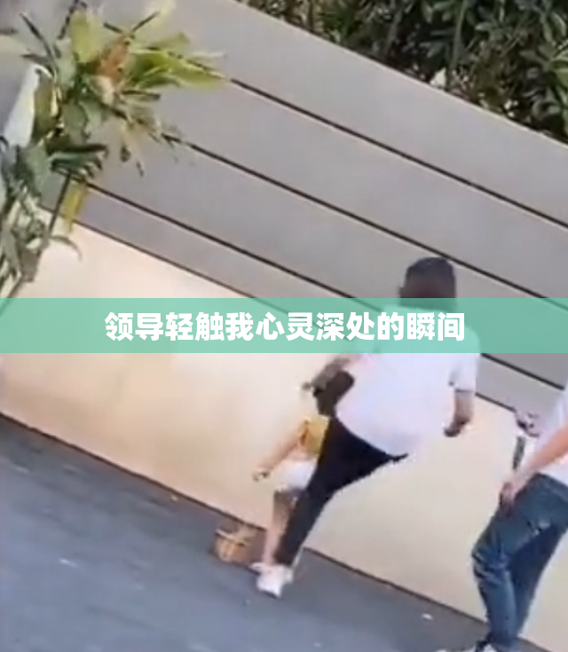 领导轻触我心灵深处的瞬间