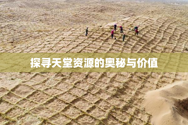 探寻天堂资源的奥秘与价值