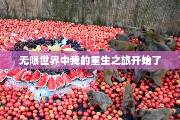 无限世界中我的重生之旅开始了