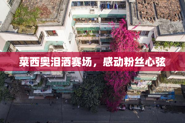 菜西奥泪洒赛场，感动粉丝心弦