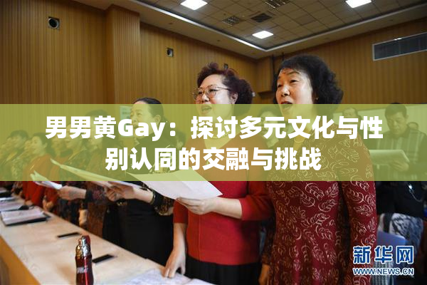 男男黄Gay：探讨多元文化与性别认同的交融与挑战