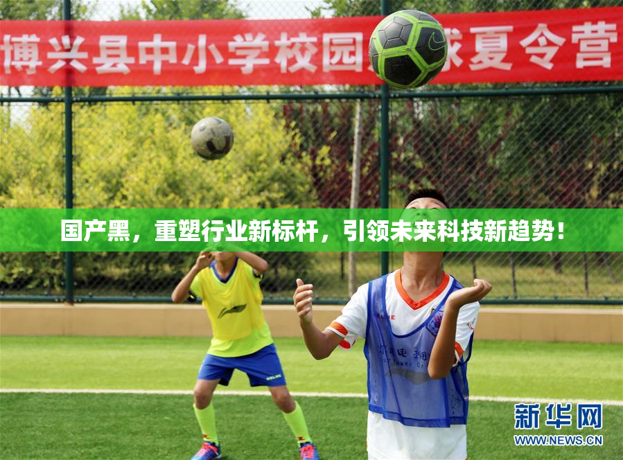 国产黑，重塑行业新标杆，引领未来科技新趋势！