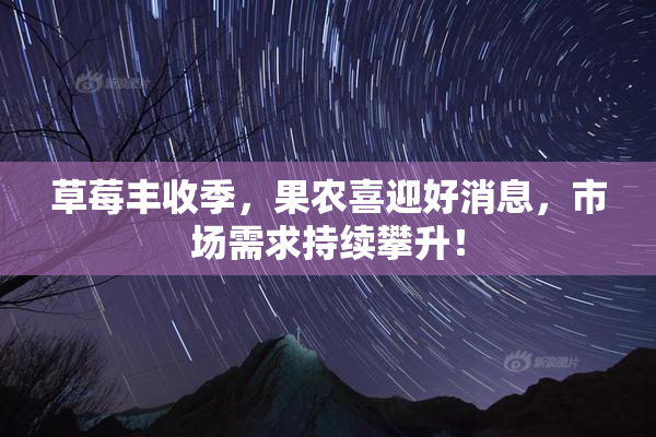 草莓丰收季，果农喜迎好消息，市场需求持续攀升！