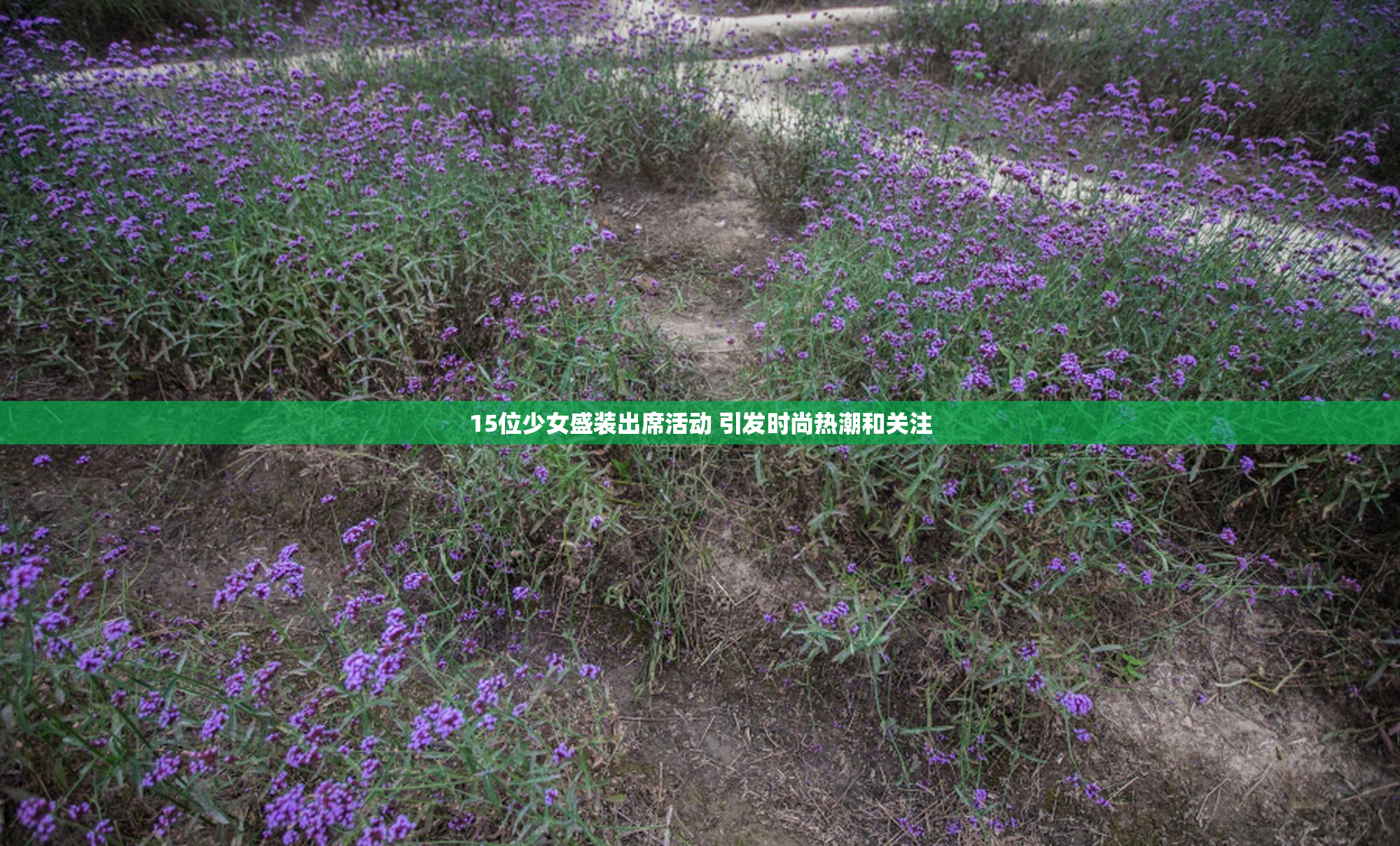 15位少女盛装出席活动 引发时尚热潮和关注