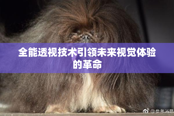 全能透视技术引领未来视觉体验的革命