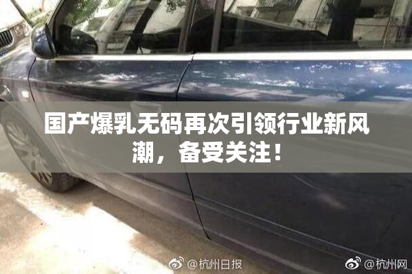 国产爆乳无码再次引领行业新风潮，备受关注！