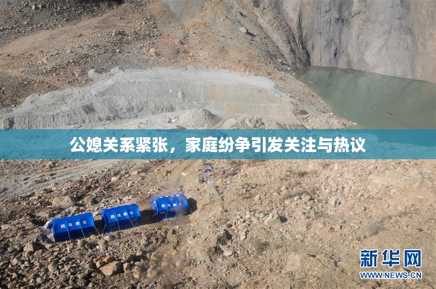 公媳关系紧张，家庭纷争引发关注与热议