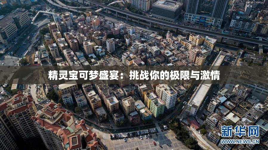 精灵宝可梦盛宴：挑战你的极限与激情