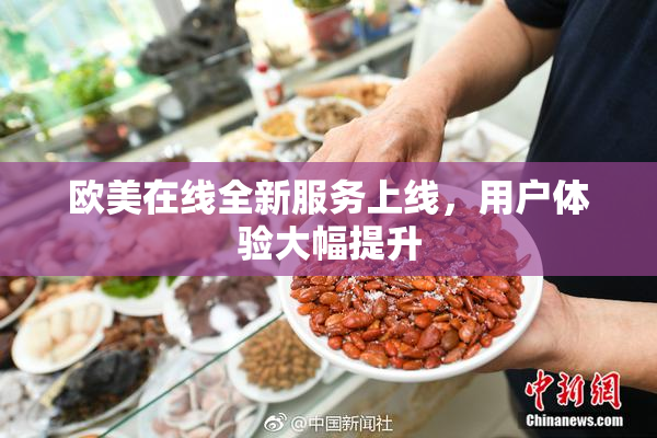 欧美在线全新服务上线，用户体验大幅提升