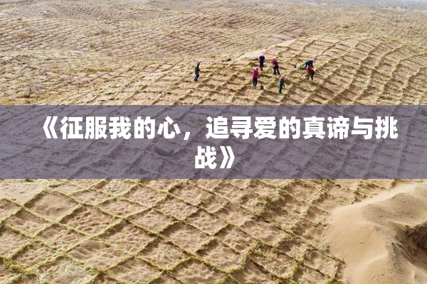 《征服我的心，追寻爱的真谛与挑战》