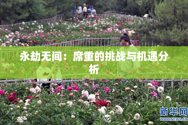 永劫无间：席重的挑战与机遇分析