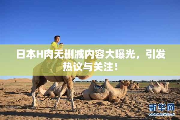 日本H肉无删减内容大曝光，引发热议与关注！