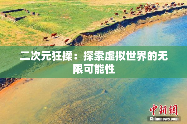 二次元狂揉：探索虚拟世界的无限可能性