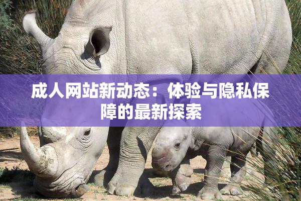 成人网站新动态：体验与隐私保障的最新探索