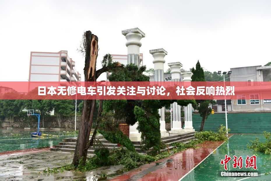 日本无修电车引发关注与讨论，社会反响热烈