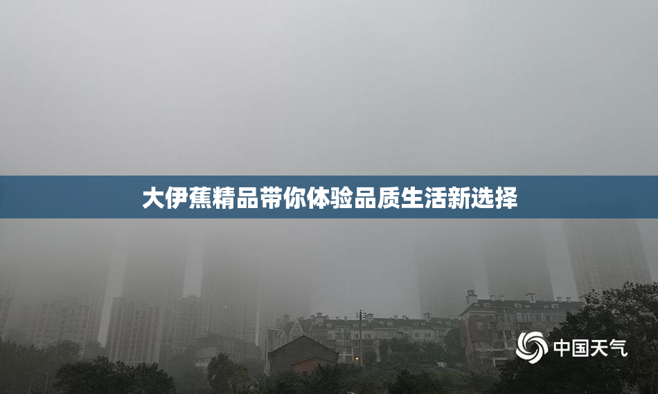 大伊蕉精品带你体验品质生活新选择