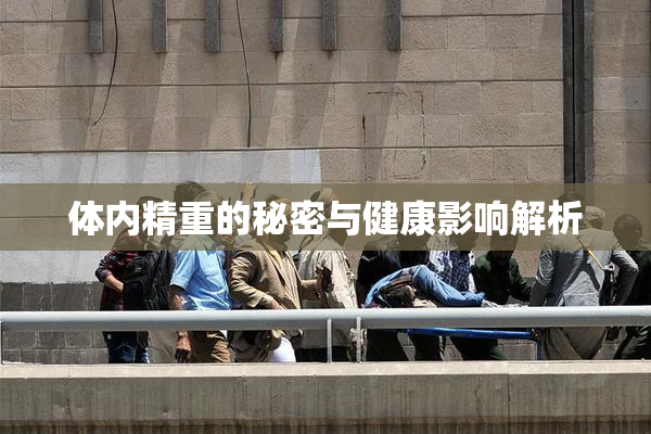 体内精重的秘密与健康影响解析