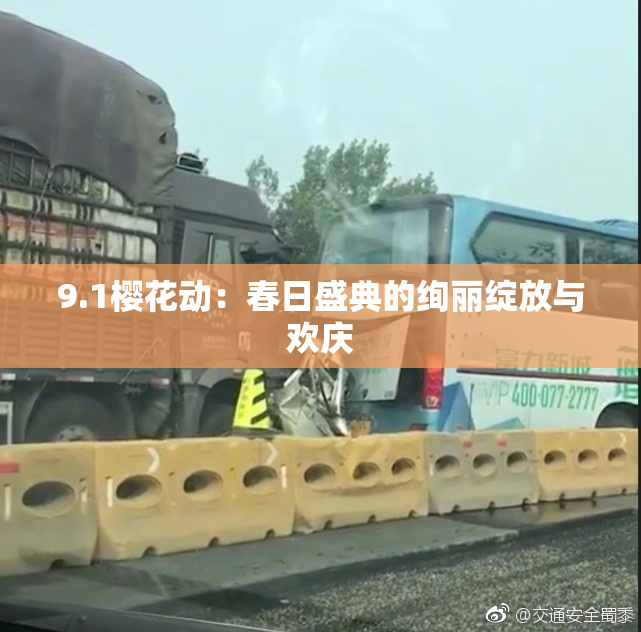 9.1樱花动：春日盛典的绚丽绽放与欢庆