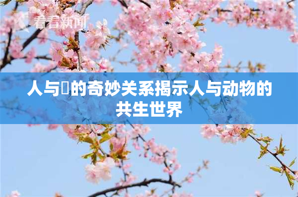 人与嘼的奇妙关系揭示人与动物的共生世界
