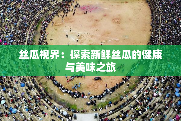 丝瓜视界：探索新鲜丝瓜的健康与美味之旅