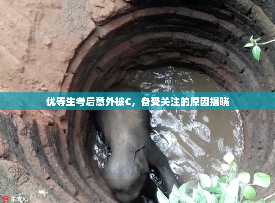 优等生考后意外被C，备受关注的原因揭晓