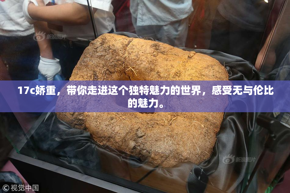 17c娇重，带你走进这个独特魅力的世界，感受无与伦比的魅力。