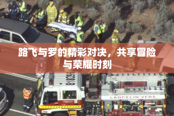 路飞与罗的精彩对决，共享冒险与荣耀时刻