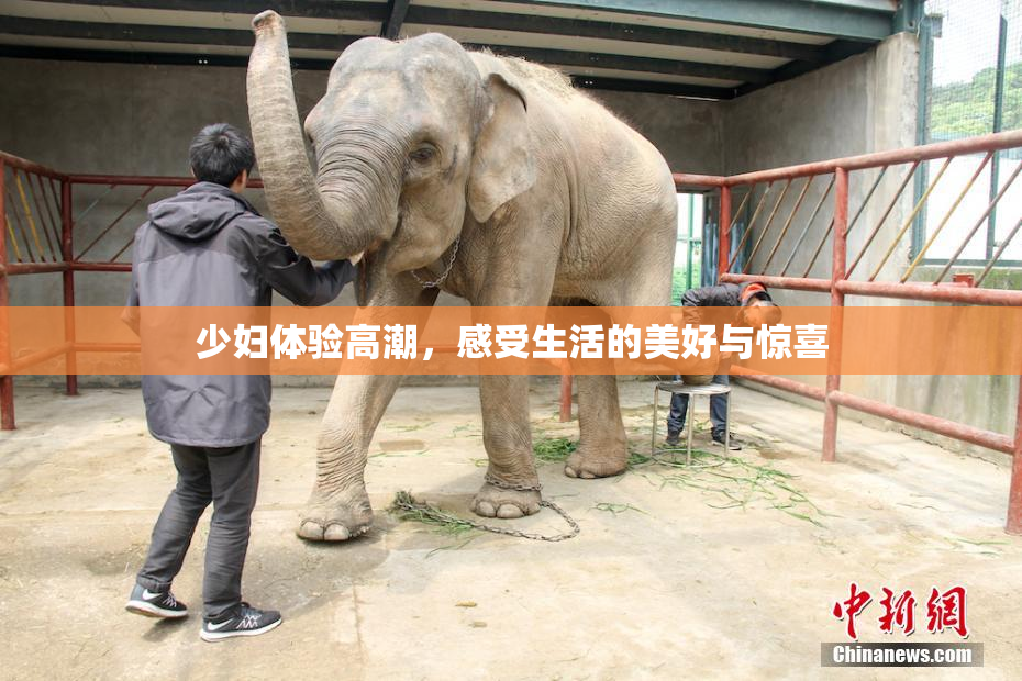 少妇体验高潮，感受生活的美好与惊喜