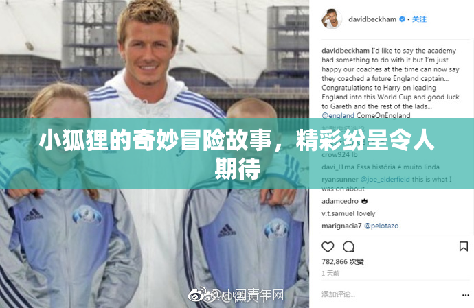 小狐狸的奇妙冒险故事，精彩纷呈令人期待