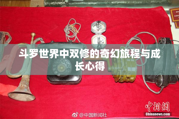 斗罗世界中双修的奇幻旅程与成长心得