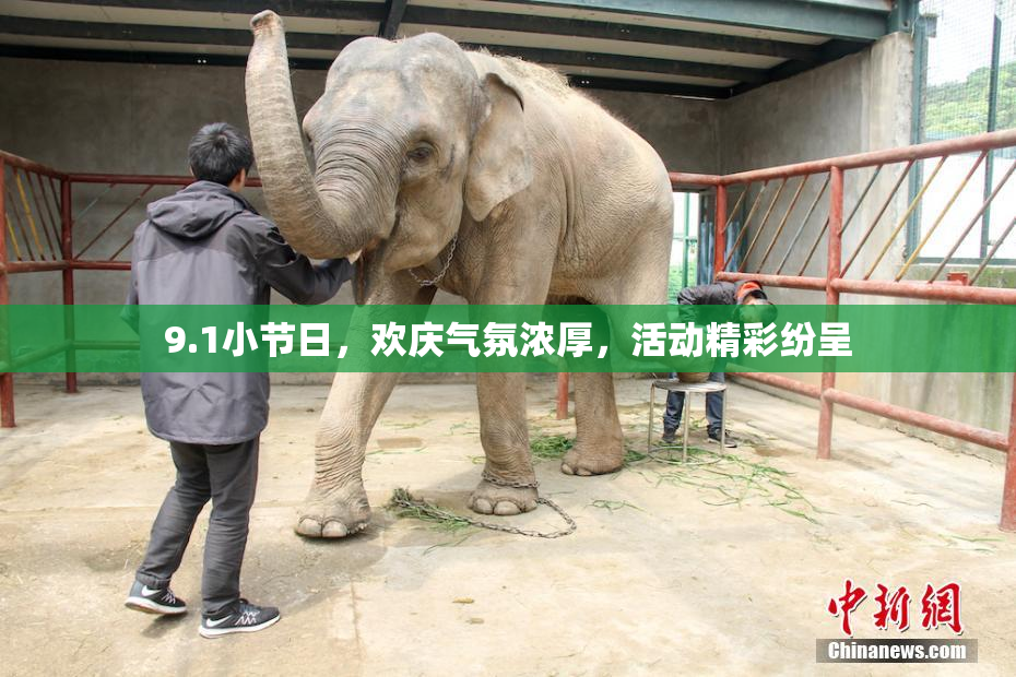 9.1小节日，欢庆气氛浓厚，活动精彩纷呈