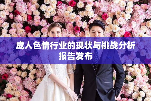 成人色情行业的现状与挑战分析报告发布