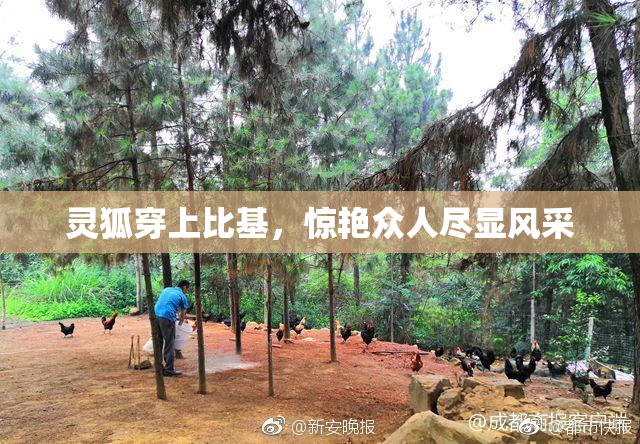 灵狐穿上比基，惊艳众人尽显风采