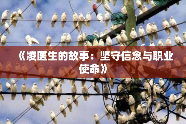 《凌医生的故事：坚守信念与职业使命》