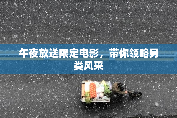 午夜放送限定电影，带你领略另类风采