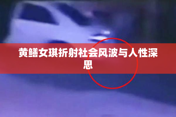 黄鳝女琪折射社会风波与人性深思