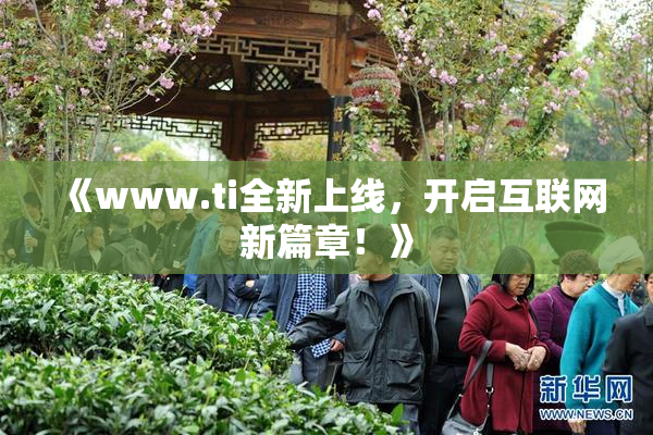 《www.ti全新上线，开启互联网新篇章！》