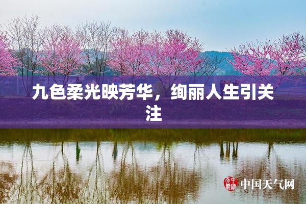 九色柔光映芳华，绚丽人生引关注