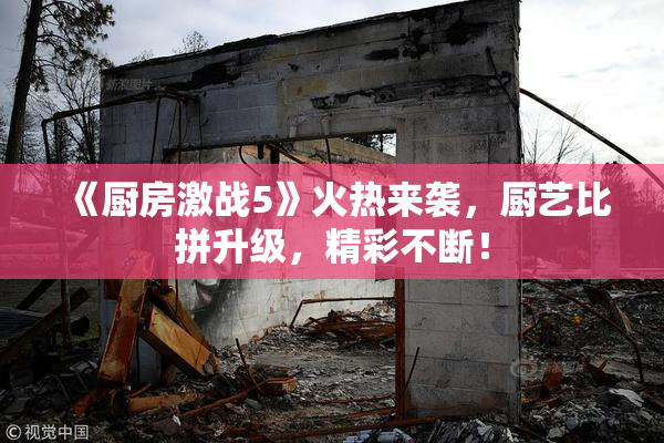 《厨房激战5》火热来袭，厨艺比拼升级，精彩不断！