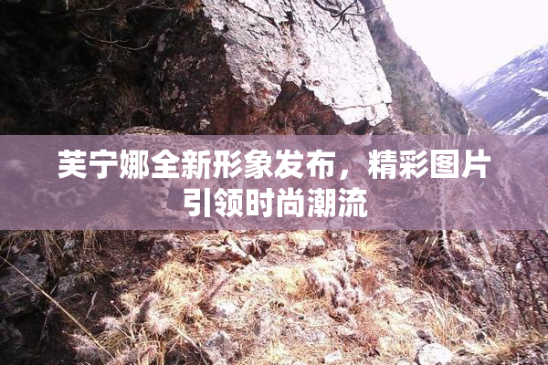 芙宁娜全新形象发布，精彩图片引领时尚潮流