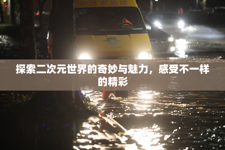 探索二次元世界的奇妙与魅力，感受不一样的精彩