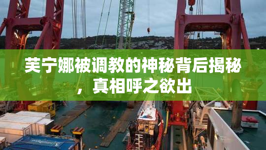 芙宁娜被调教的神秘背后揭秘，真相呼之欲出