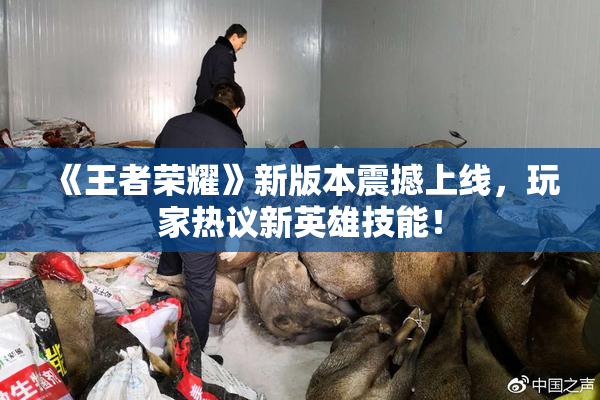 《王者荣耀》新版本震撼上线，玩家热议新英雄技能！