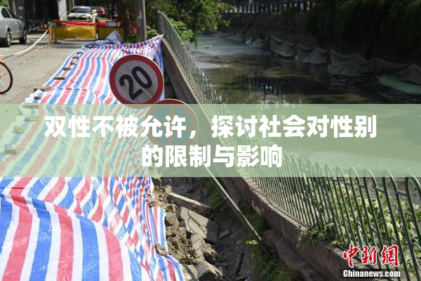 双性不被允许，探讨社会对性别的限制与影响